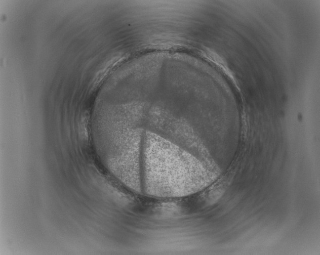 X0000076090114200610152328