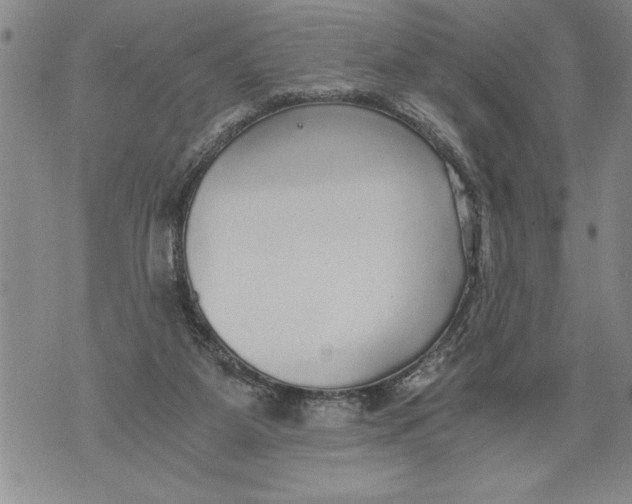 X0000076090115200610152328