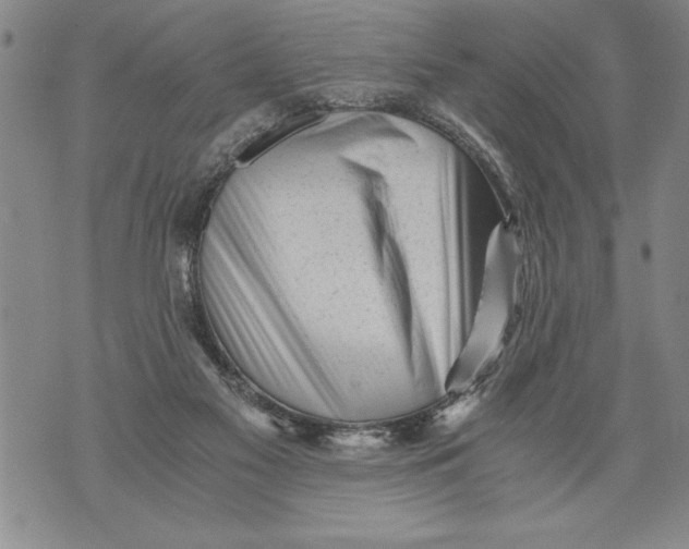 X0000076090117200610152328