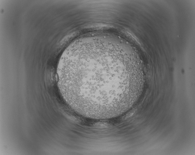 X0000076090119200610152328