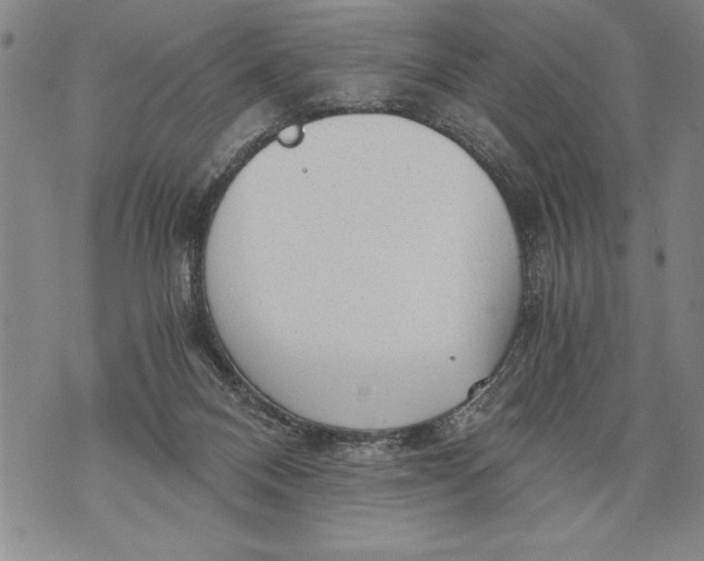 X0000076090120200610152328