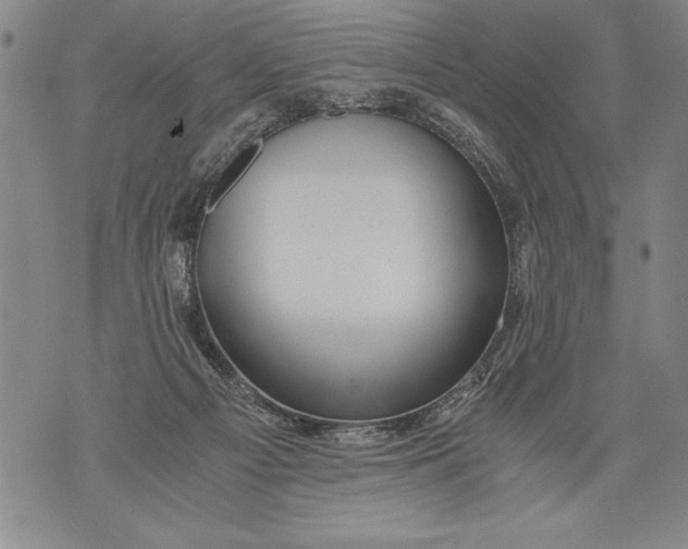 X0000076090121200610152328