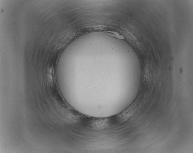 X0000076090122200610152328