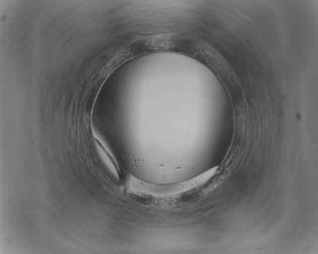 X0000076090125200610152328