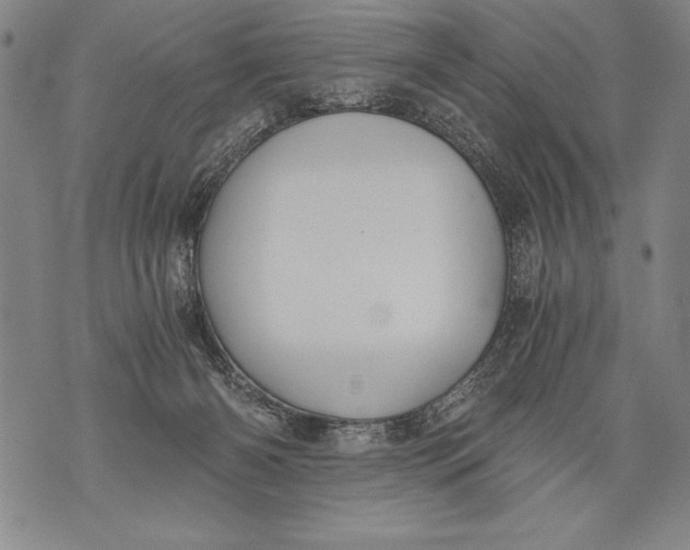 X0000076090126200610152328