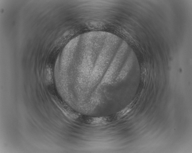 X0000076090130200610152328