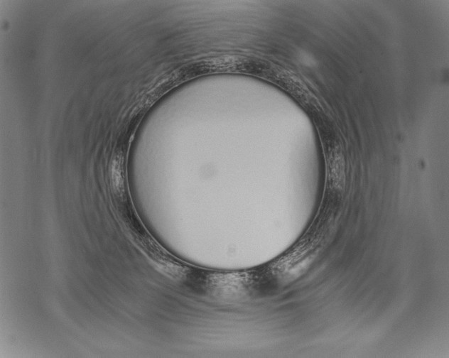 X0000076090131200610152328