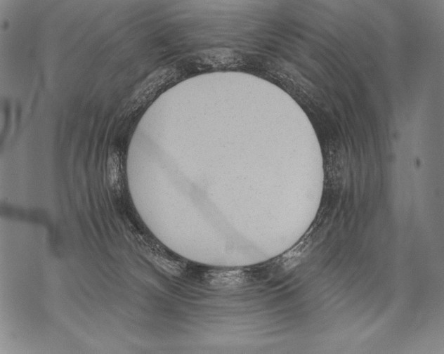 X0000076090132200610152328