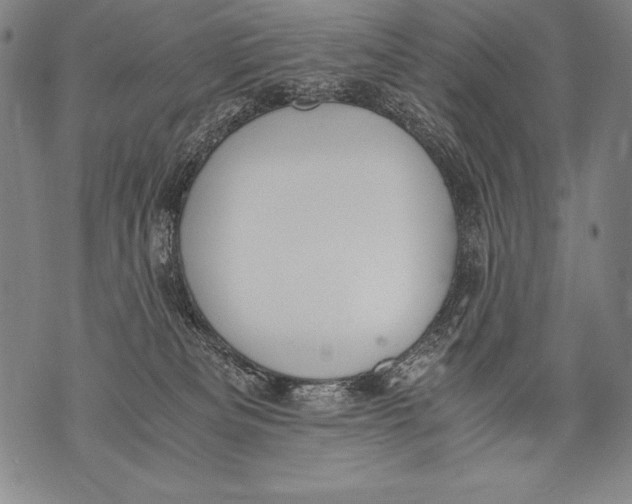 X0000076090133200610152328