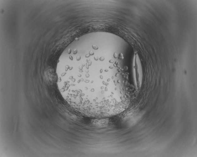 X0000076090135200610152328