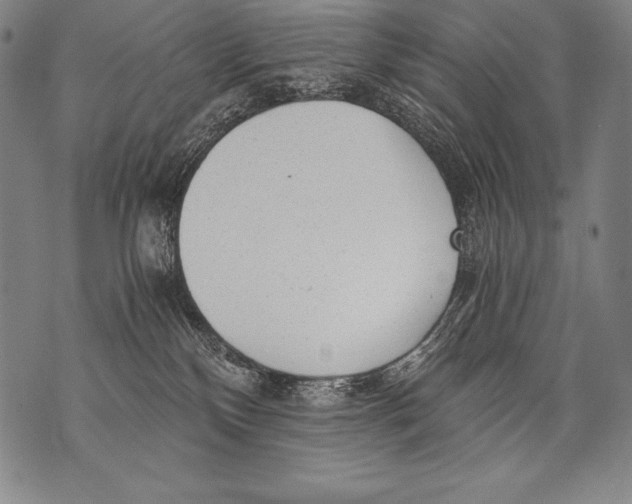 X0000076090136200610152328