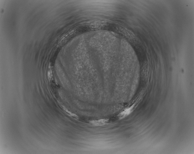 X0000076090137200610152328