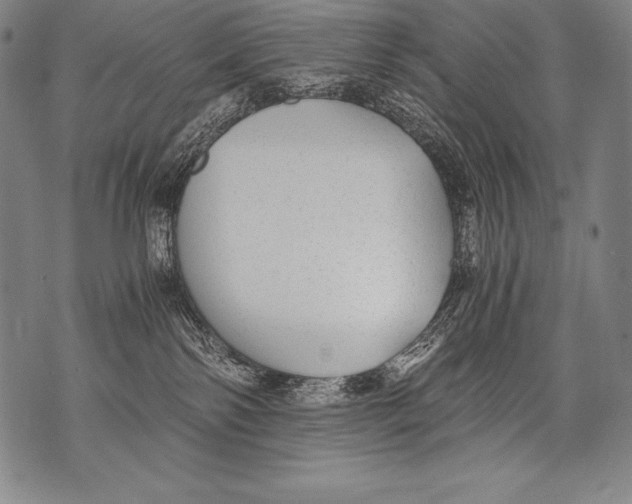 X0000076090138200610152328