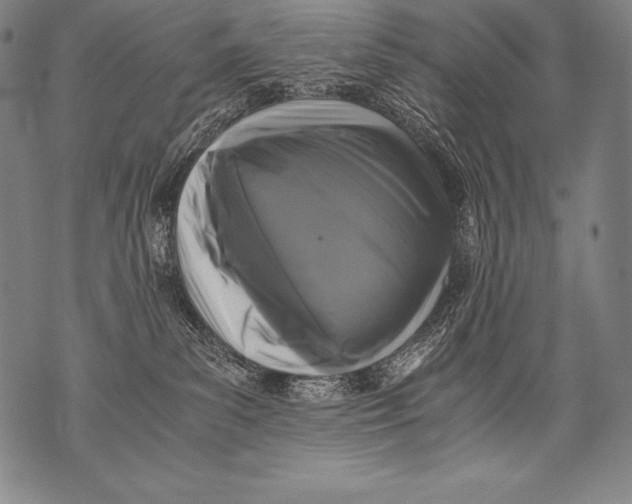 X0000076090139200610152328