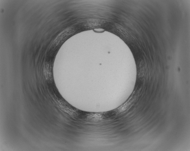 X0000076090140200610152328