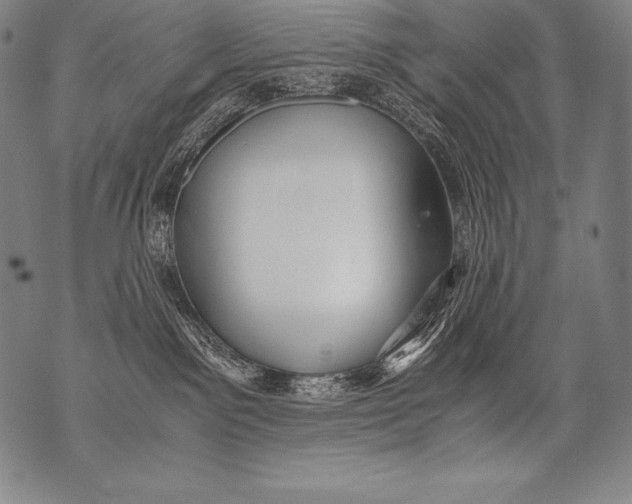 X0000076090141200610152328