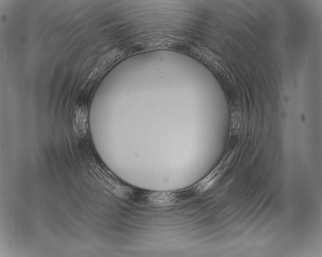 X0000076090142200610152328