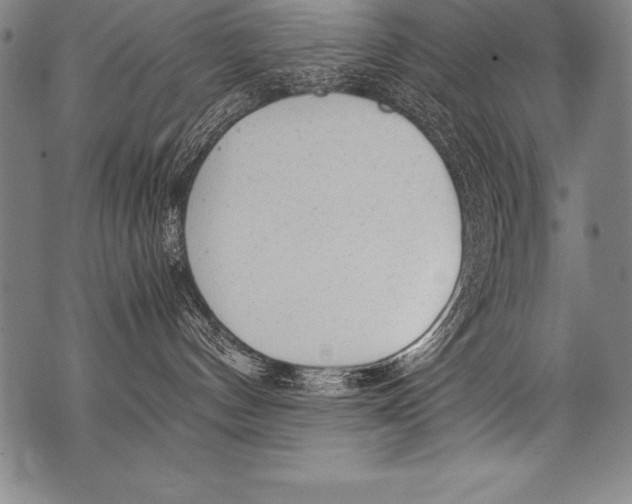 X0000076090144200610152328