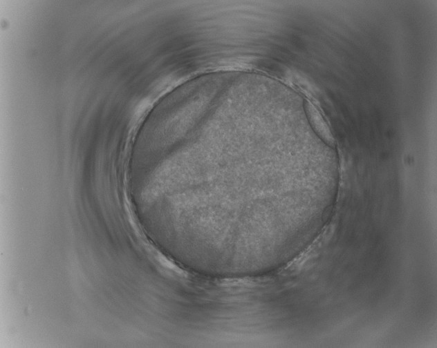 X0000076090145200610152327