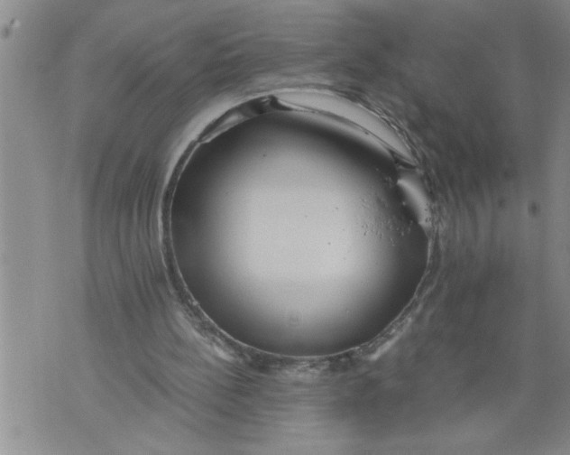 X0000076090148200610152327