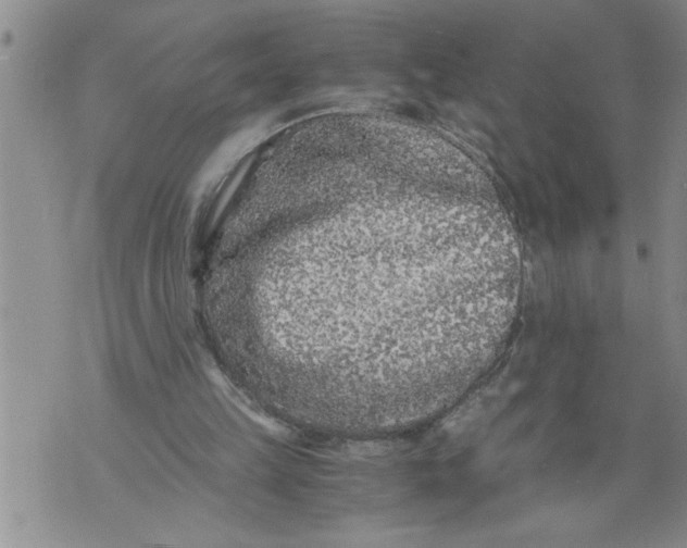 X0000076090149200610152327