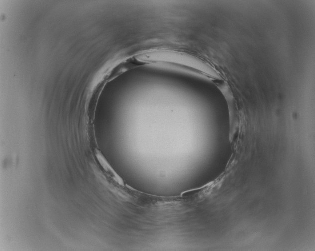 X0000076090150200610152327