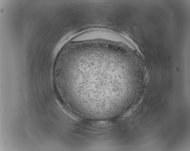 X0000076090151200610152327