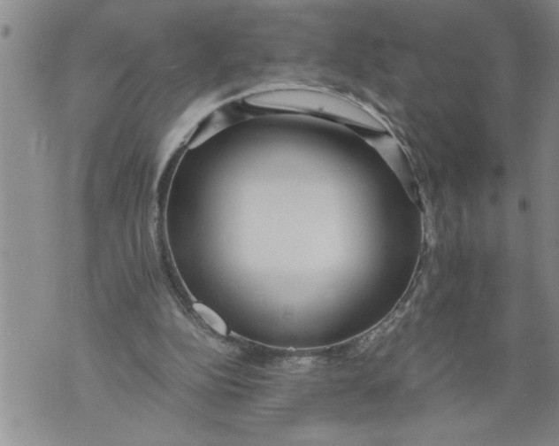 X0000076090152200610152327