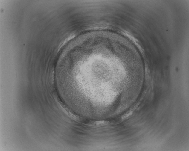 X0000076090153200610152327