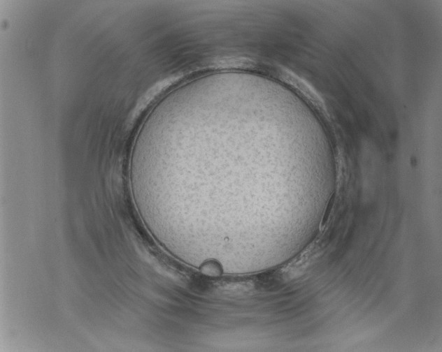 X0000076090155200610152327