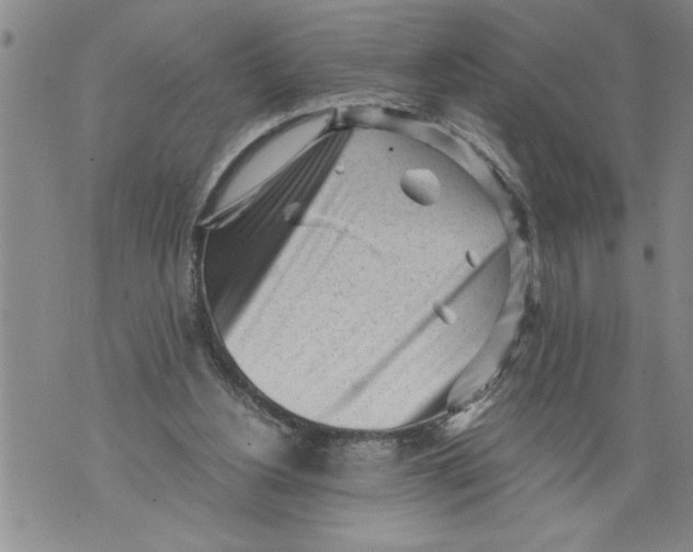 X0000076090156200610152327