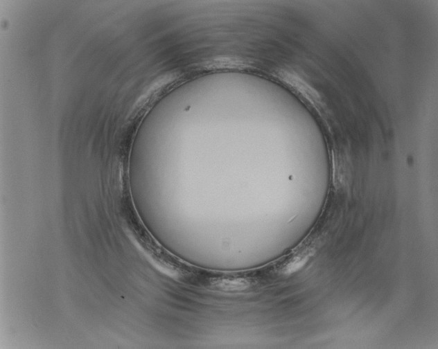 X0000076090157200610152327