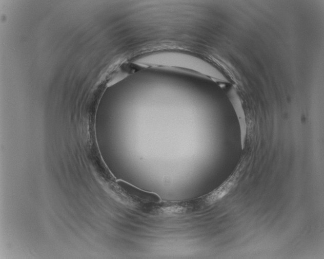 X0000076090158200610152327