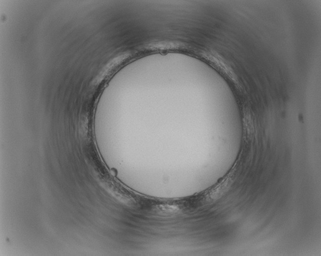 X0000076090159200610152327