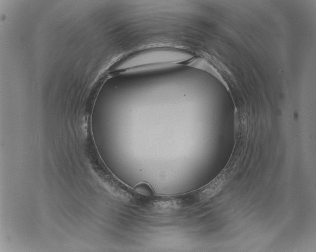 X0000076090160200610152327