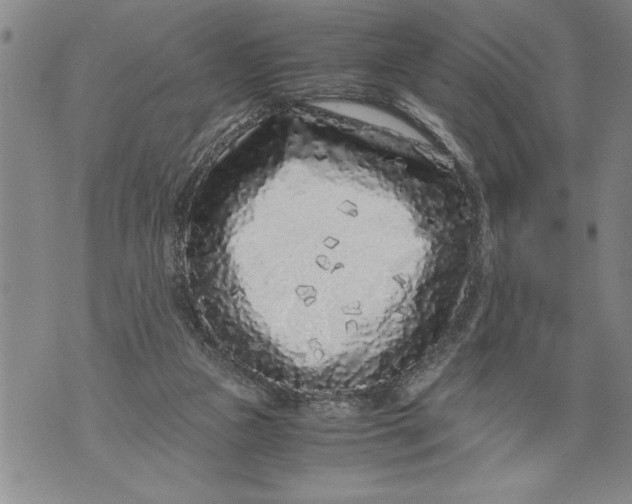 X0000076090161200610152327