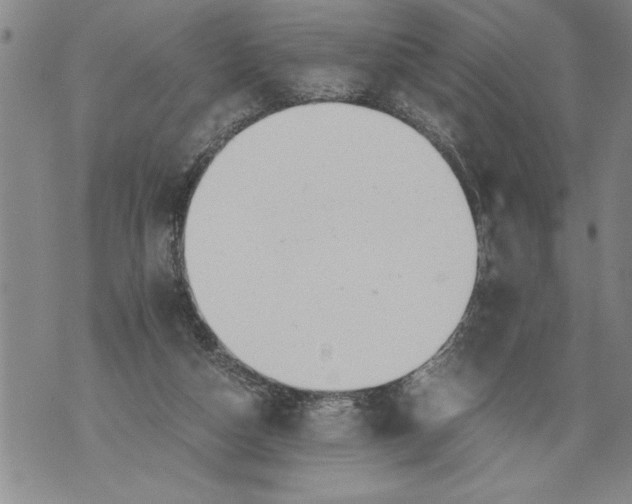 X0000076090162200610152327