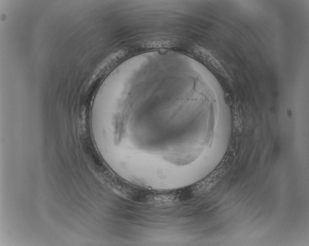 X0000076090163200610152327