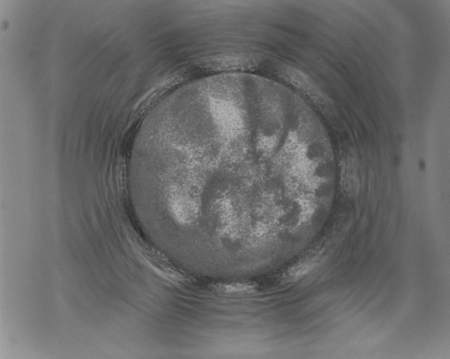 X0000076090165200610152327