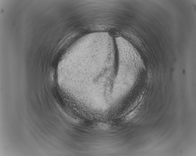 X0000076090166200610152327