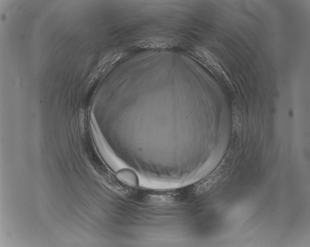 X0000076090167200610152327