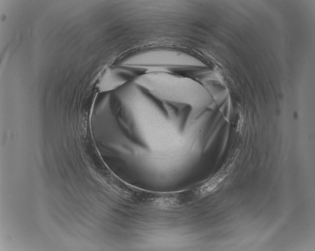 X0000076090168200610152327