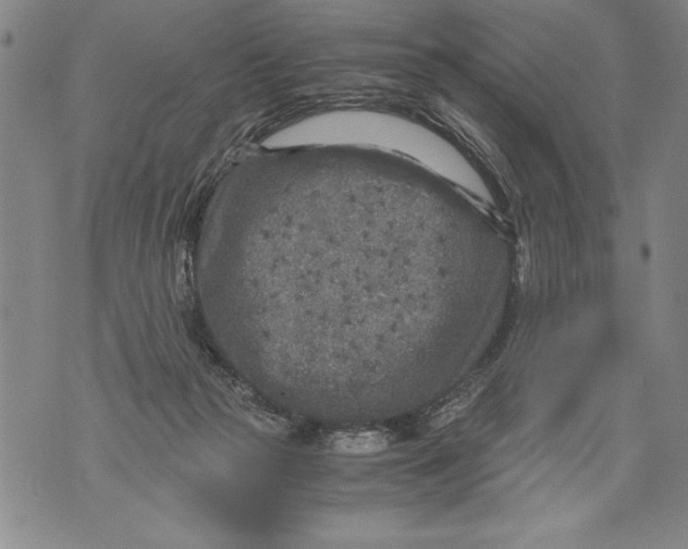 X0000076090169200610152327