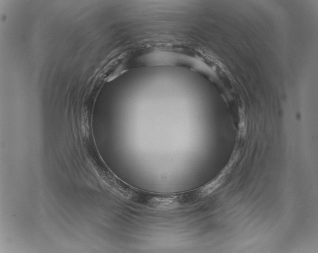 X0000076090170200610152327