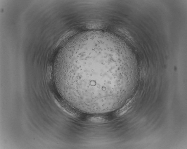 X0000076090171200610152327