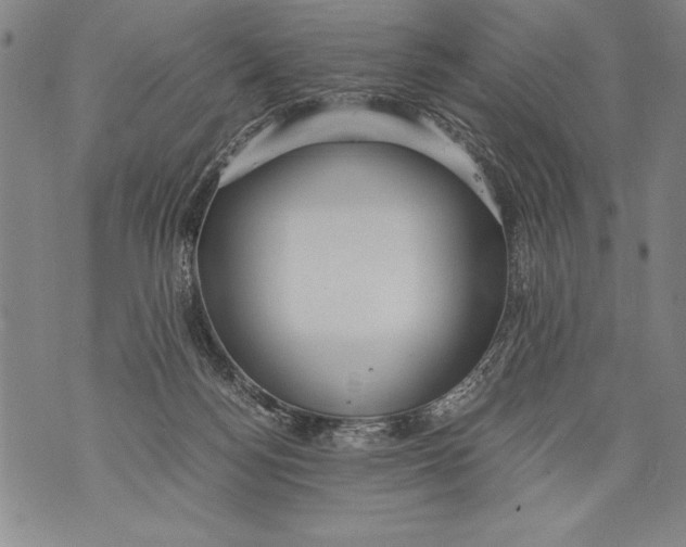 X0000076090172200610152327