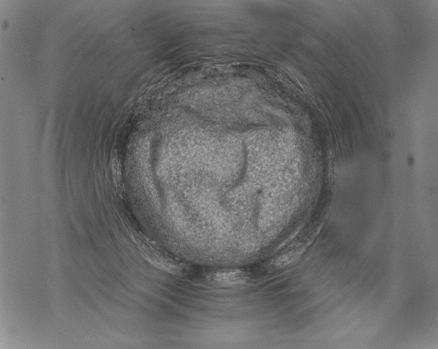 X0000076090173200610152327