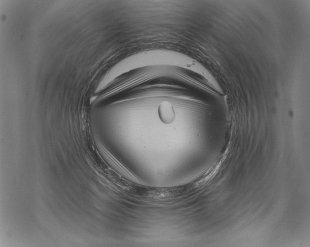 X0000076090174200610152327