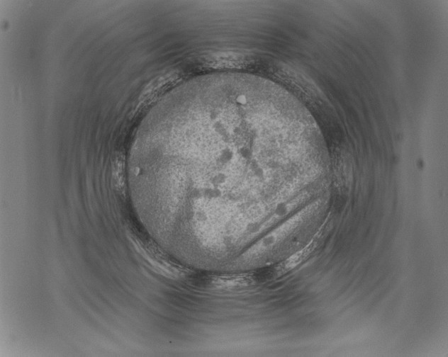 X0000076090175200610152327