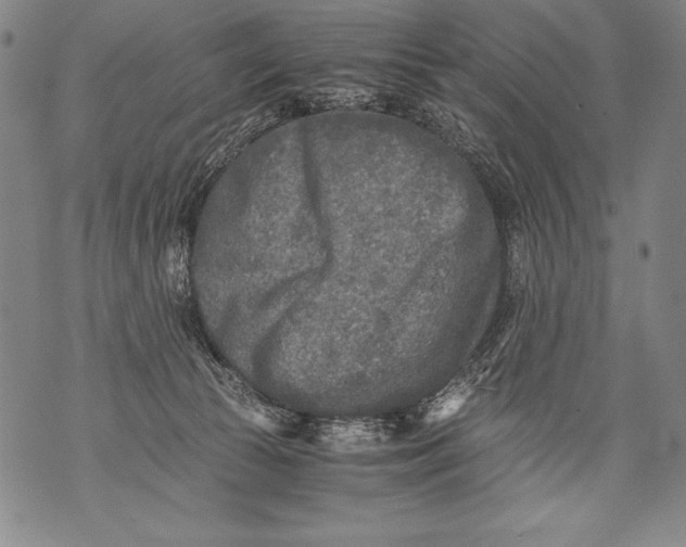 X0000076090177200610152327